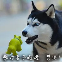 憋对老子咆哮，碧池！（憋对老子咆哮，碧池！）