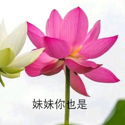 妹妹你也是很好看