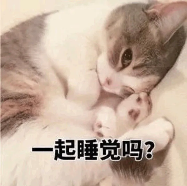 一起睡觉吗