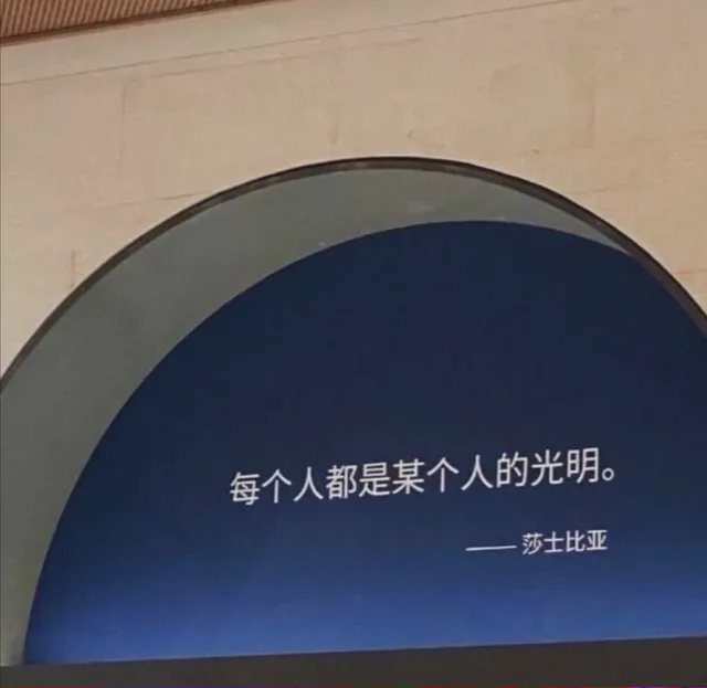 每个人都是某个人的光明。莎士比亚(朋友圈背景图)