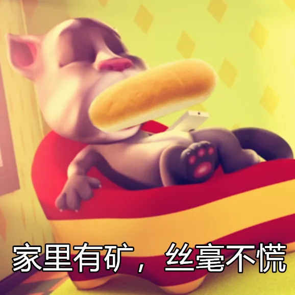 家里有矿,丝毫不慌（家里有矿,丝毫不慌）