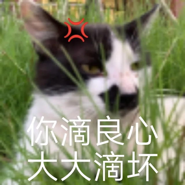 你滴良心大大滴坏
