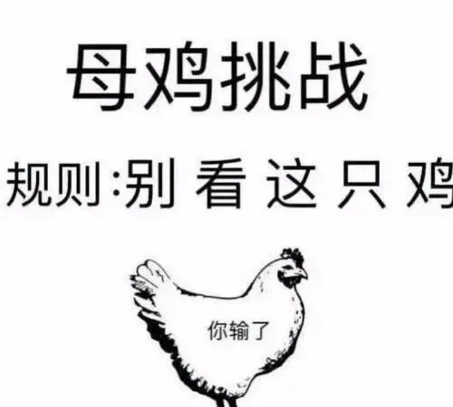 母鸡挑战规则：别看这只鸡你输了（母鸡挑战规则：别看这只鸡你输了）