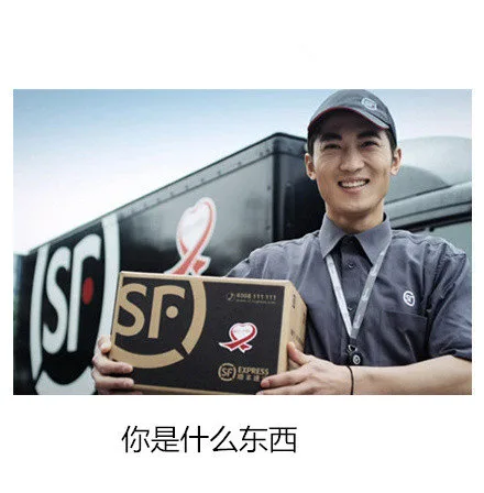你是什么东西（你是什么东西）