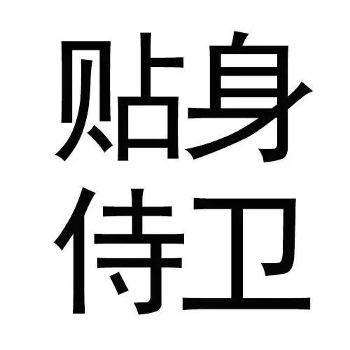 贴身侍卫（贴身侍卫）