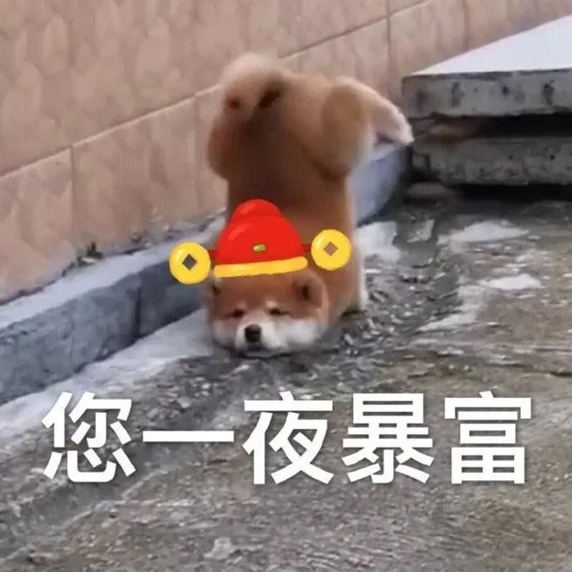 您一夜暴富