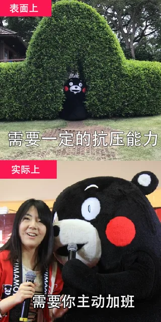 表面上需要一定的抗压能力实际上需要你主动加班