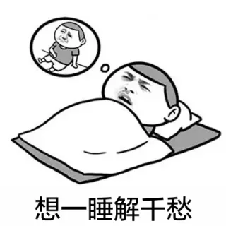 想一睡解千愁