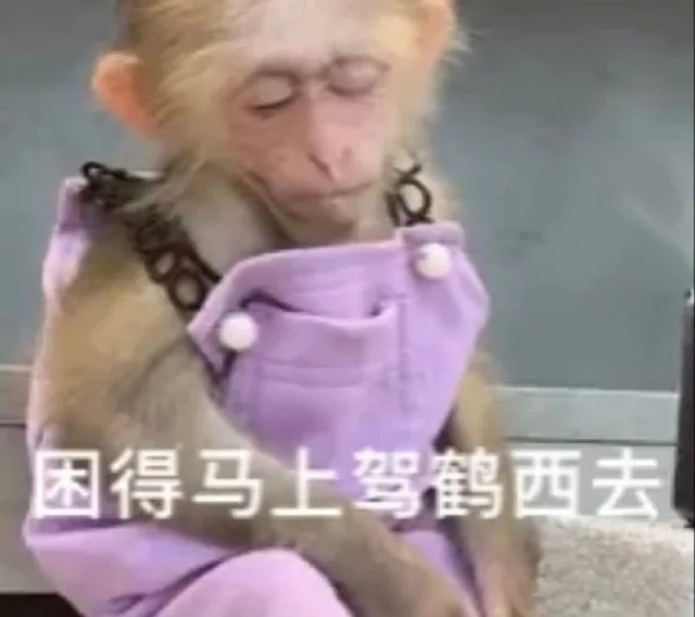 困得马上驾鹤西去（困得马上驾鹤西去）
