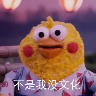 不是我没文化，而是。。。 _鹦鹉兄弟_小黄鸡_内涵表情包