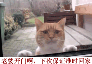 『老婆开门啊，下次保证准时回家』