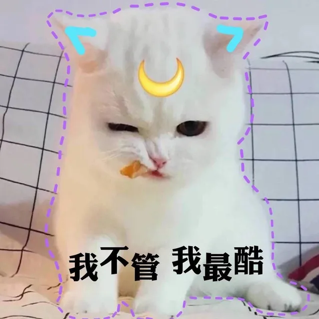 我不管 我最酷