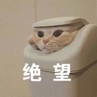 绝望