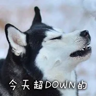 狗狗们的表情包_动图_汪星人_可爱_动物