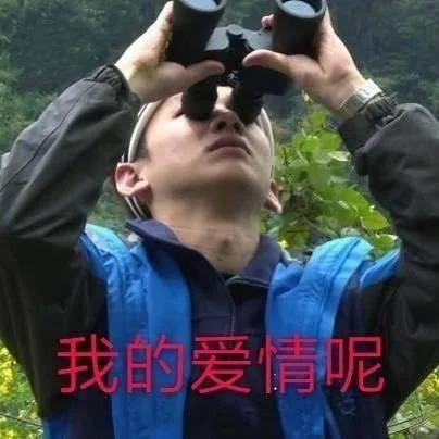 我的爱情呢（望远镜瞭望）