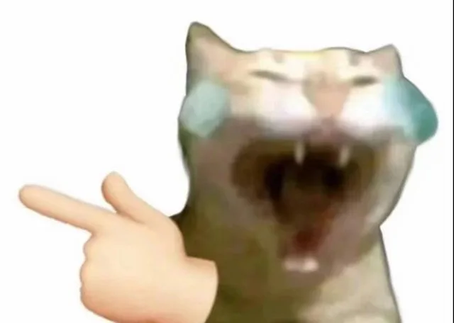 猫猫嘲笑表情包（猫猫嘲笑表情包）