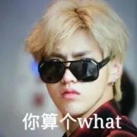 你算个what（你算个what）