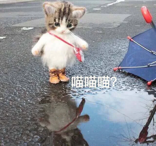 喵喵喵（喵喵喵）