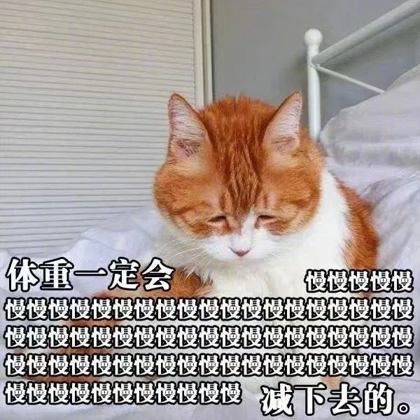 体重一定会慢慢慢慢减下去的
