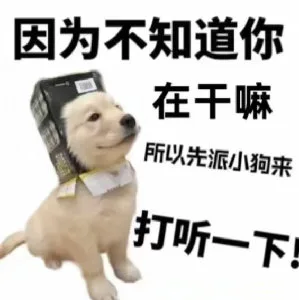 因为不知道你在干嘛所以先派小狗来打听一下！（因为不知道你在干嘛所以先派小狗来打听一下！）