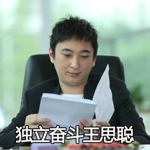 独立奋斗王思聪（独立奋斗王思聪）