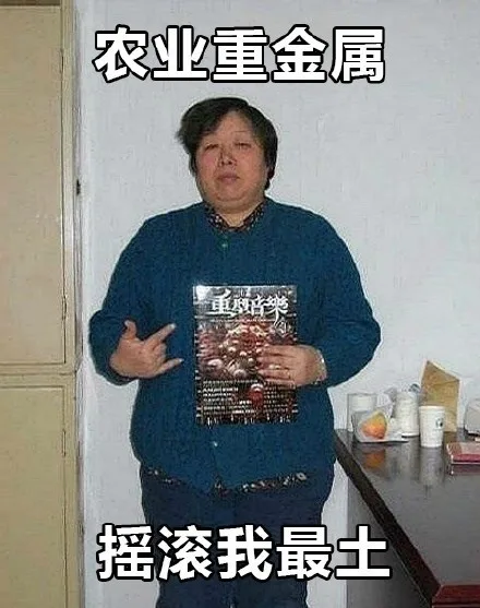 农村重金属，摇滚我最土（农村重金属，摇滚我最土）