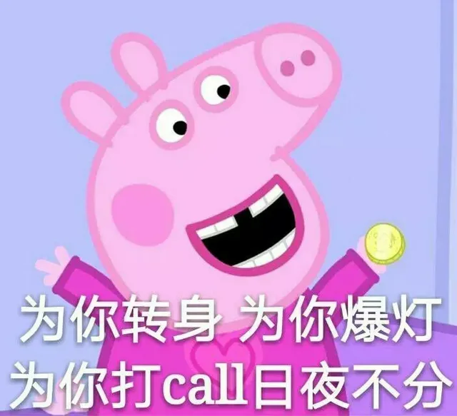 为你转身为你爆灯为你打call日夜不分