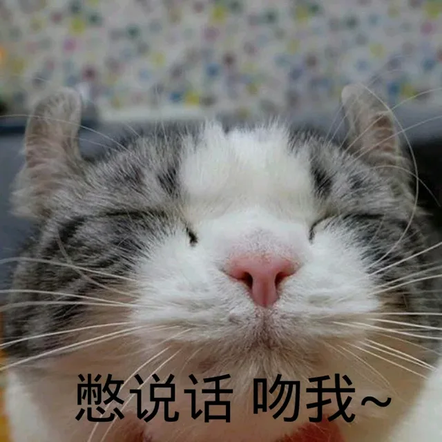 憋说话，吻我（憋说话，吻我）