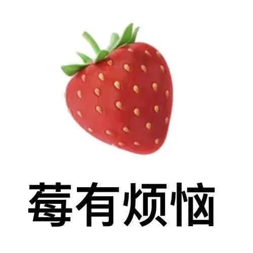 莓有烦恼