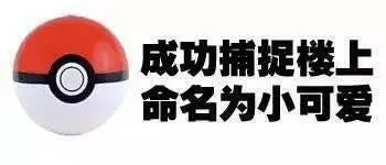 成功捕捉楼上命名为小可爱