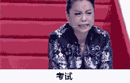 考试（考试）