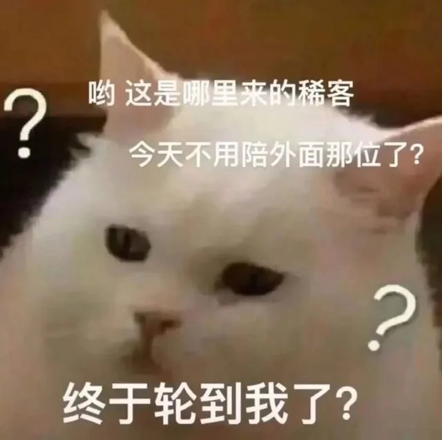 哟这是哪里来的稀客今天不用陪外面那位了?终于轮到我了?
