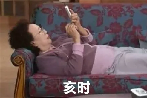亥时
