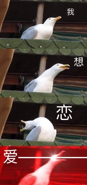 谈恋爱之前vs谈恋爱之后