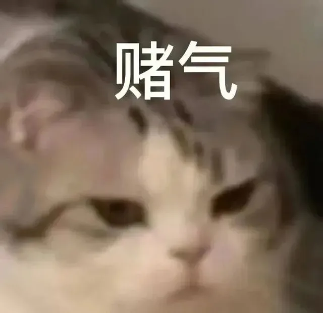 赌气（赌气）