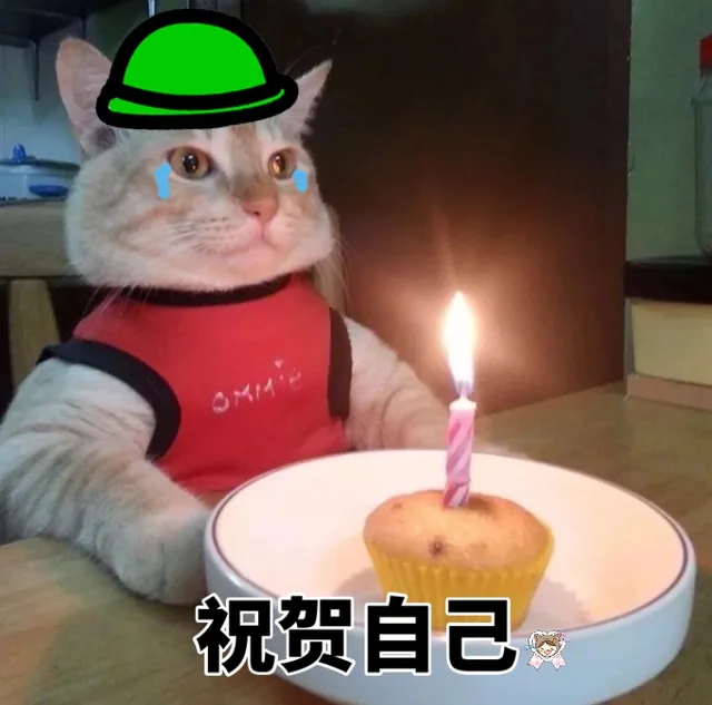 猫咪独自过生日系列表情包