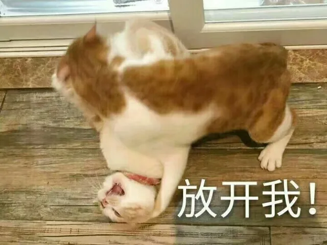 放开我