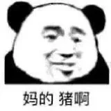 妈的猪啊（妈的猪啊）