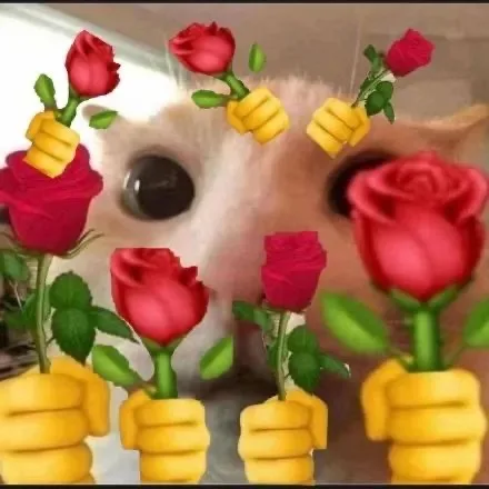 猫咪举花
