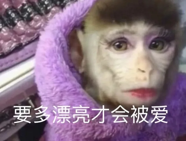 要多漂亮才会被爱(吗喽表情包)（要多漂亮才会被爱(吗喽表情包)）
