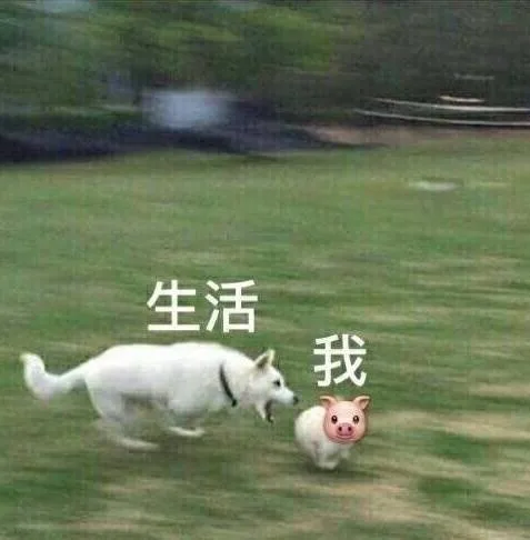 生活我