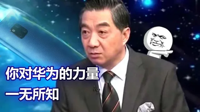 你对华为的力量一无所知（你对华为的力量一无所知）