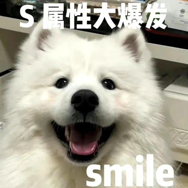 S属性大爆发smile（S属性大爆发smile）