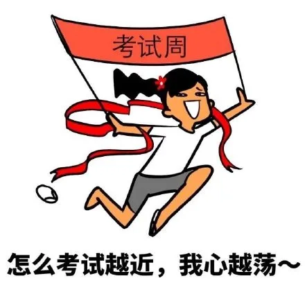 《野子》考试版表情包