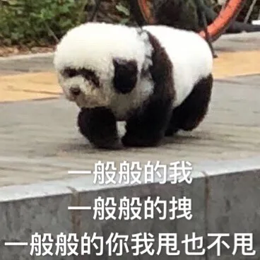 一般般的我，一般般的拽，一般般的你我甩也不甩