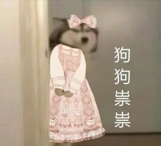 狗狗祟祟萝莉装