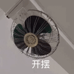开摆