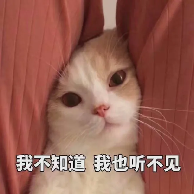 我不知道 我也听不见