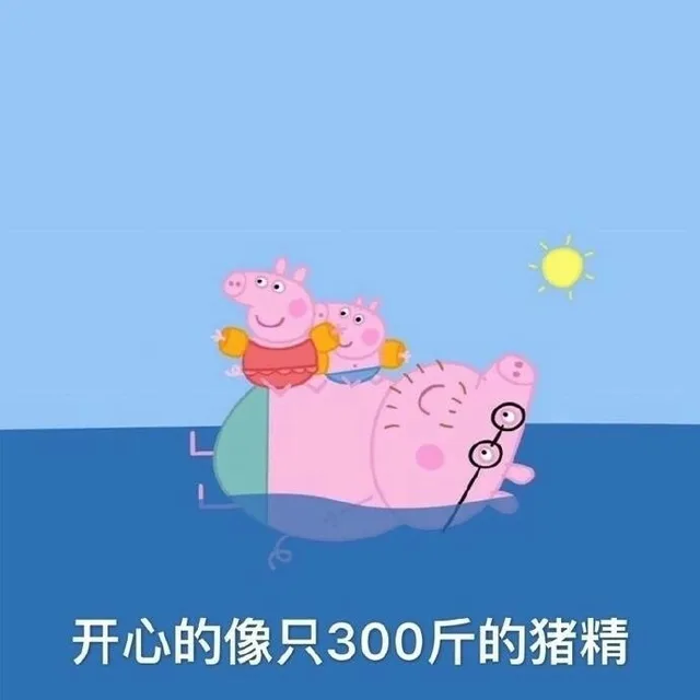 开心的像只300斤的猪精