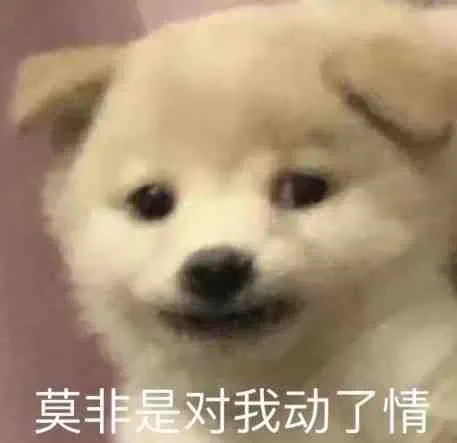 莫非是对我动了情（莫非是对我动了情）